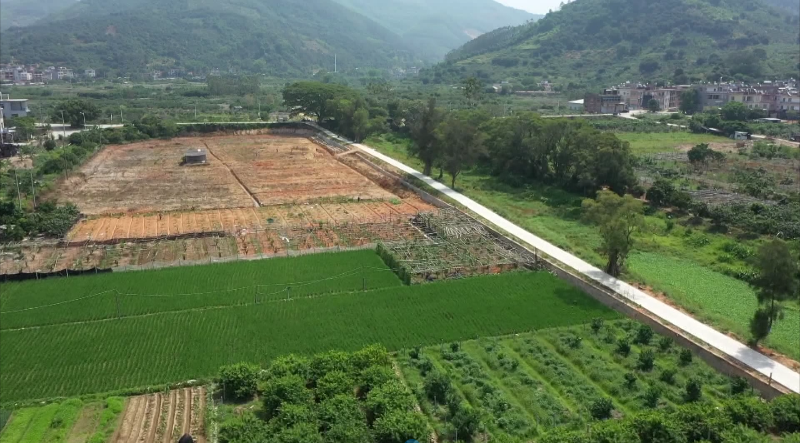 云霄：高效节水灌溉项目助农增收.png