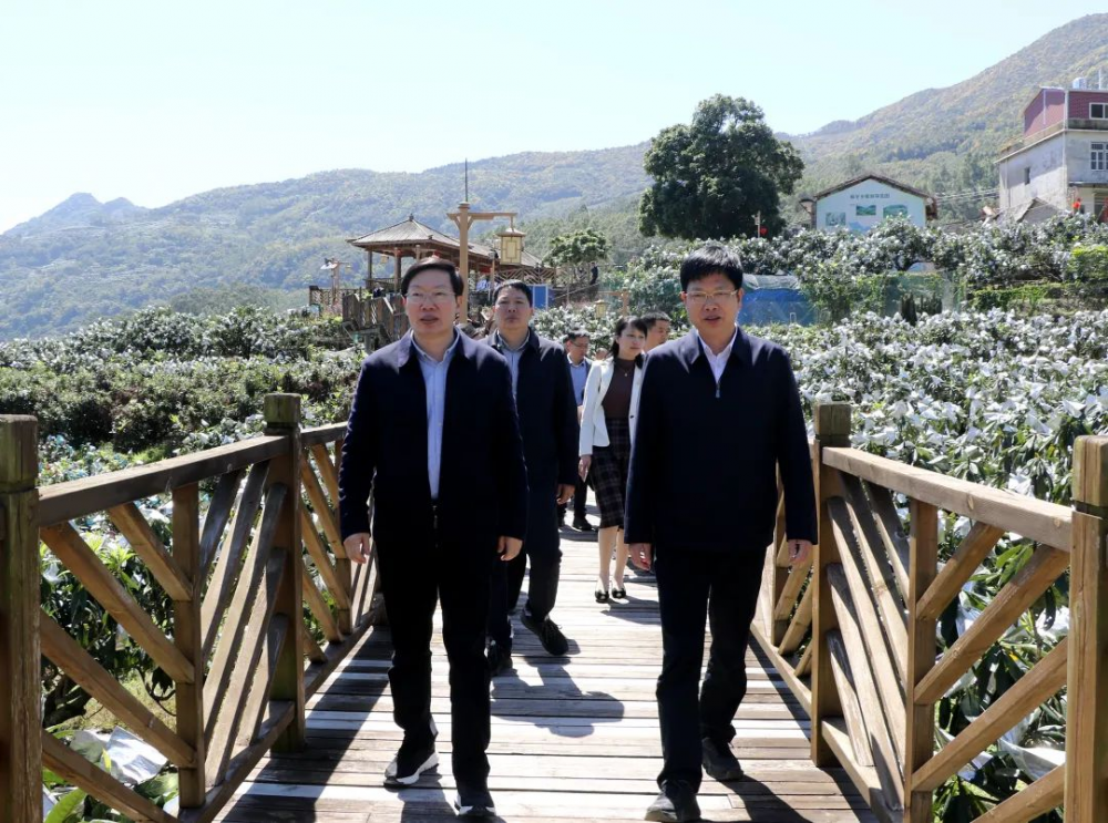 省领导到云霄县开展挂钩帮扶工作调研4.png