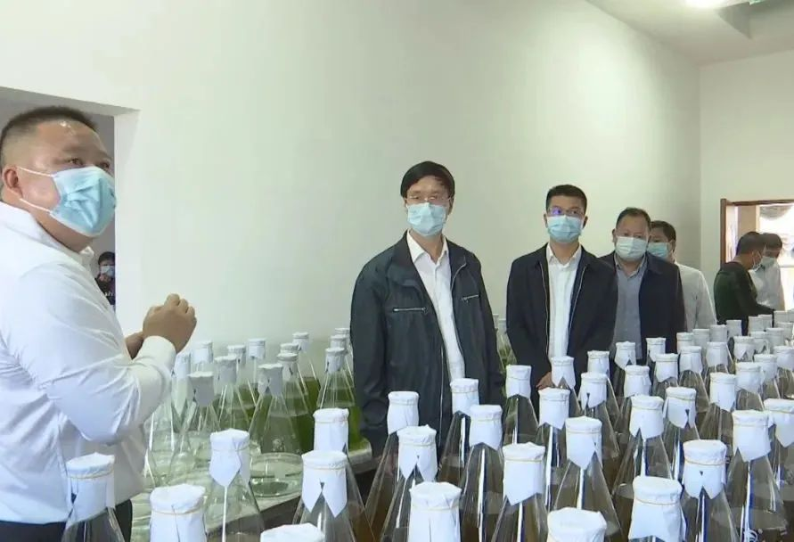 市领导调研推进渔业种业创新和渔港建设工作2.png