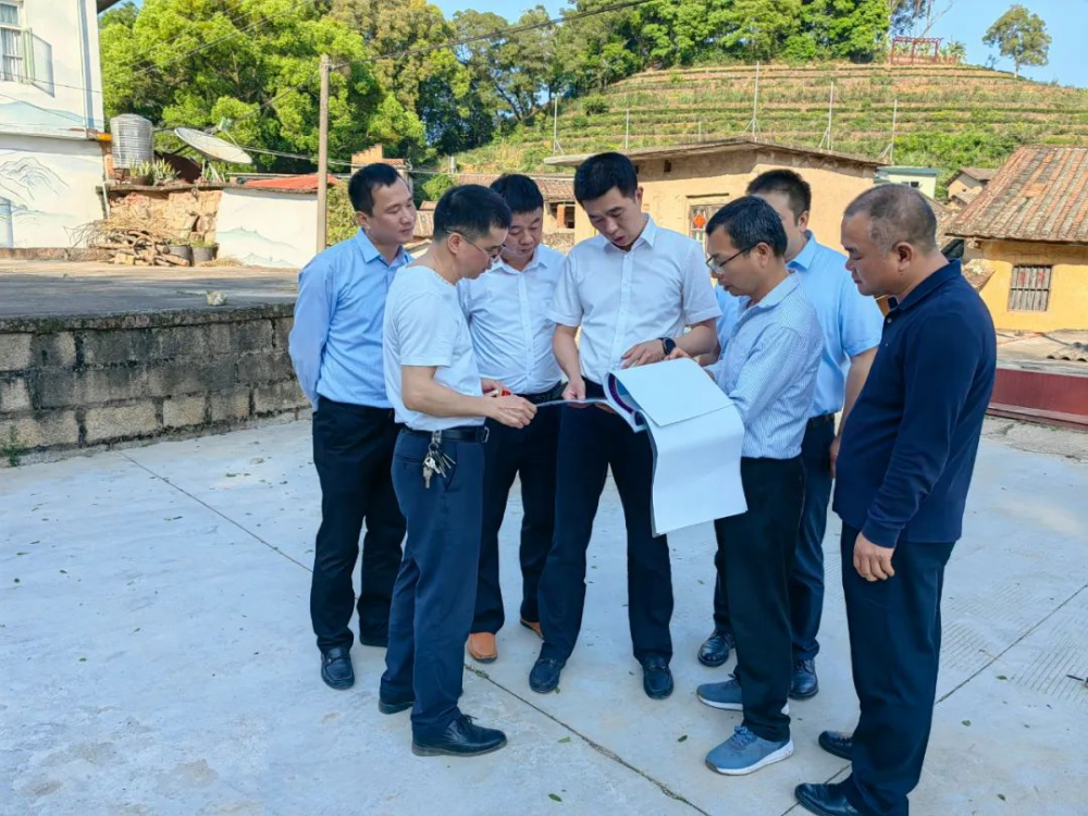 云霄县领导调研推进乡村振兴“串点连线成片”示范线建设.png