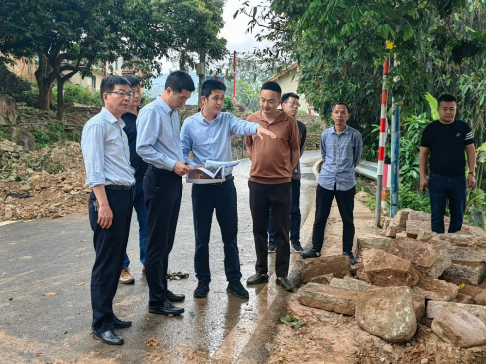 云霄县领导调研推进乡村振兴“串点连线成片”示范线建设3.png