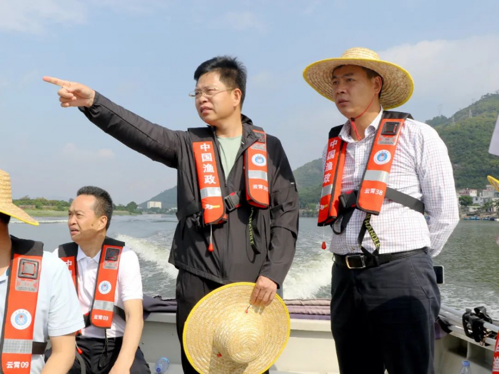 云霄县四套班子主要领导开展河湖长制、湾滩长制生态环保专项检查.png