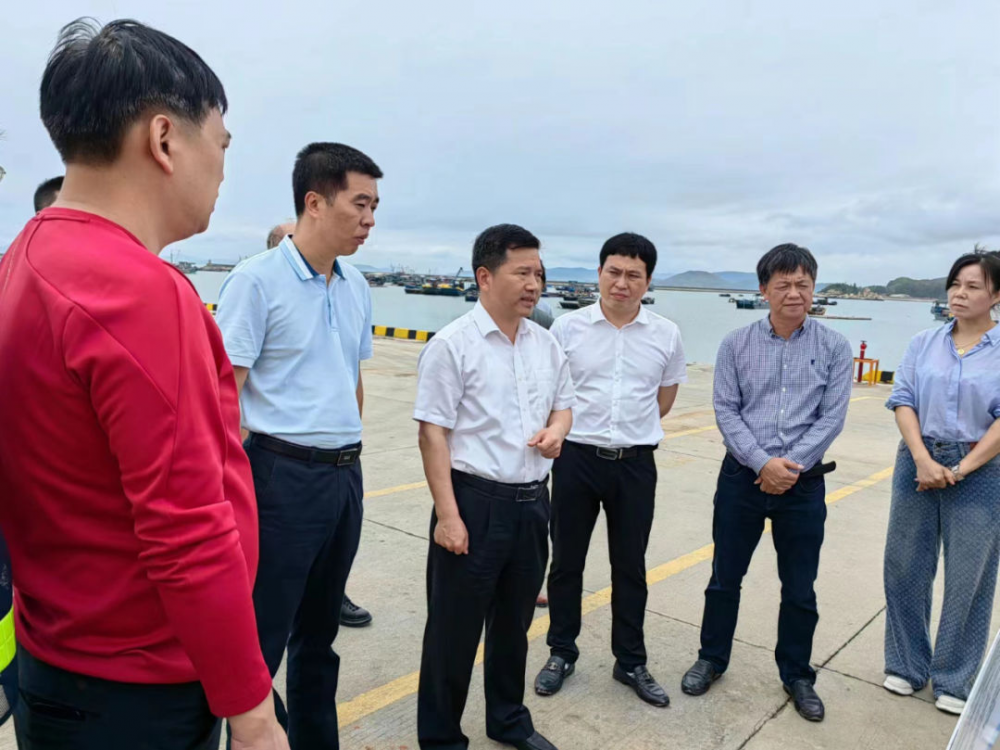 市领导到云霄县调研渔港建设1.png