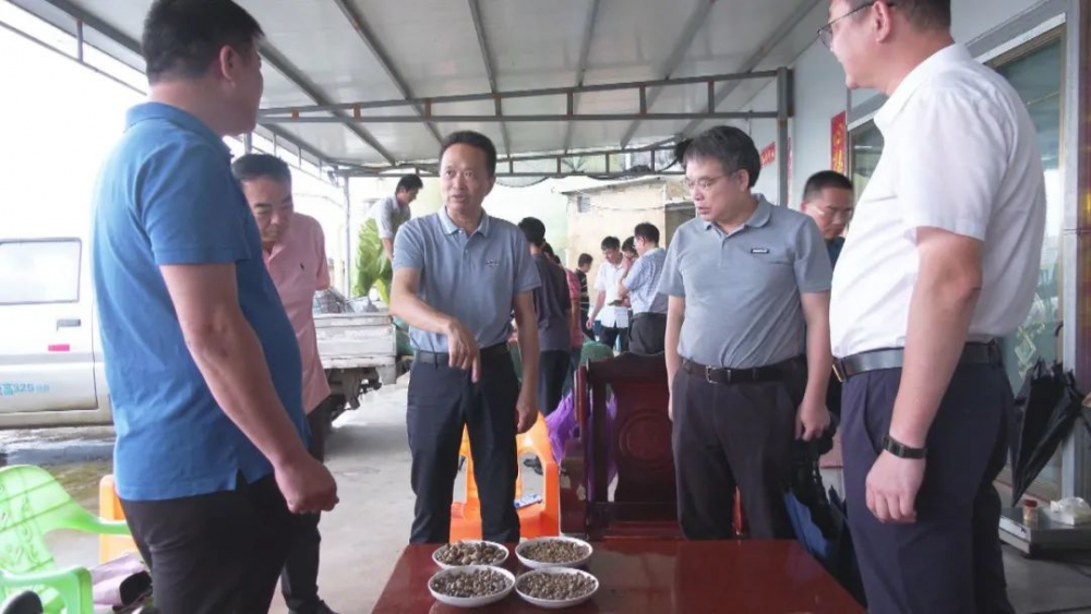 云霄县人大常委会开展乡村振兴工作专题调研.png