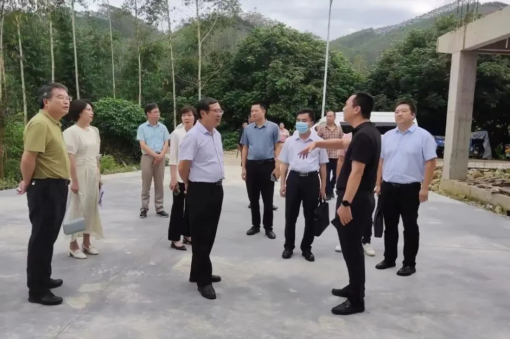 1市领导到云霄县开展乡村振兴工作情况调研.png