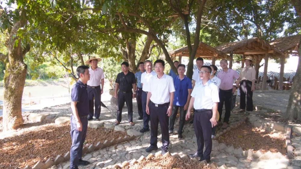 云霄县委书记到下河乡坡兜村调研.jpg
