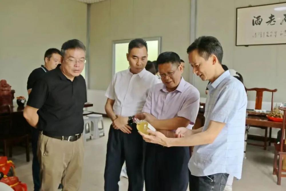 市人大常委会到云霄开展乡村振兴专题调研1.jpg