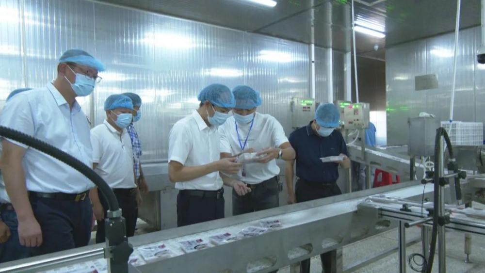 云霄县领导到陈岱镇调研2.jpg