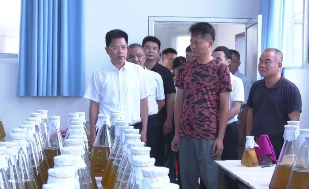 1云霄县委书记到东厦镇调研.png