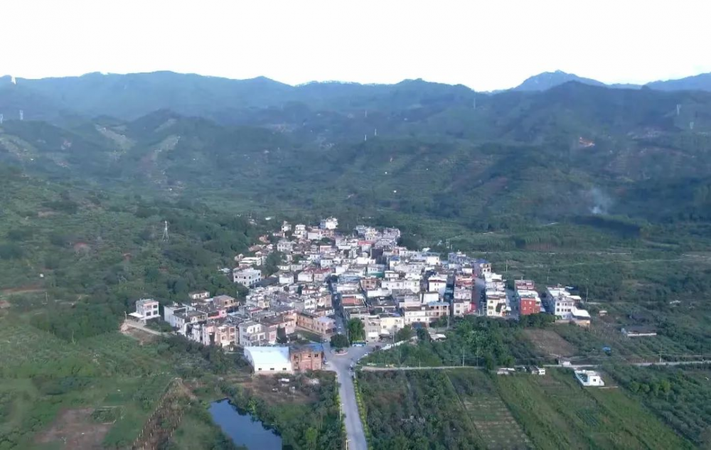 1喜迎二十大 村官谈规划｜今天请看：瓦坑村.png