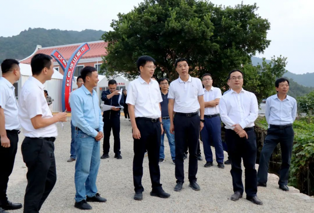 2 云霄县委书记到和平乡调研，宣传贯彻党的二十大精神.png