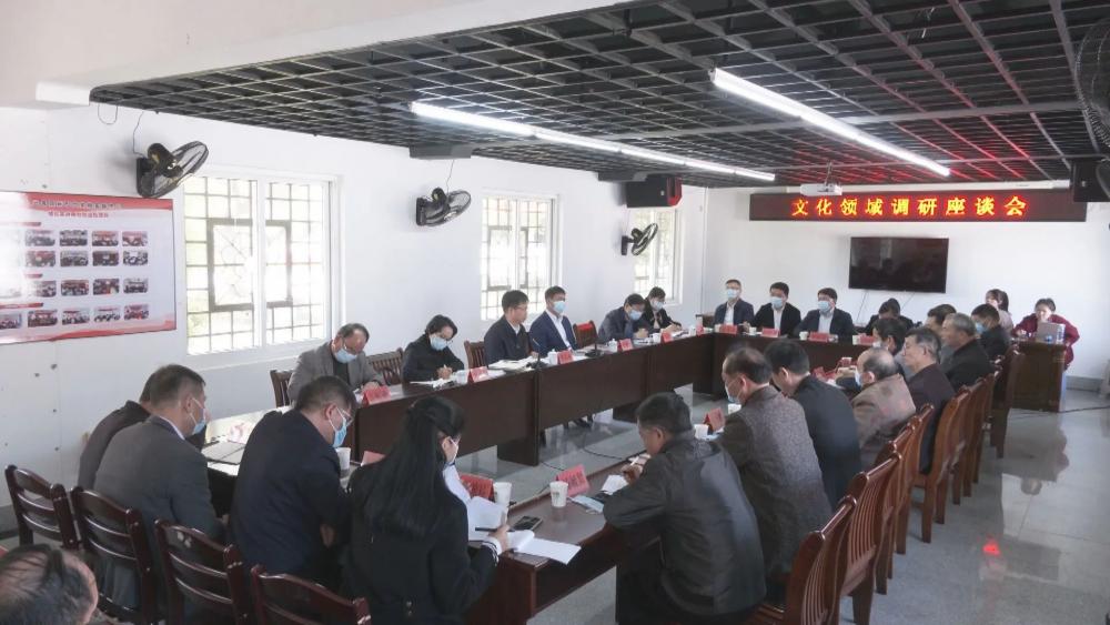云霄县委县政府主要领导开展文化领域工作调研座谈2.jpg
