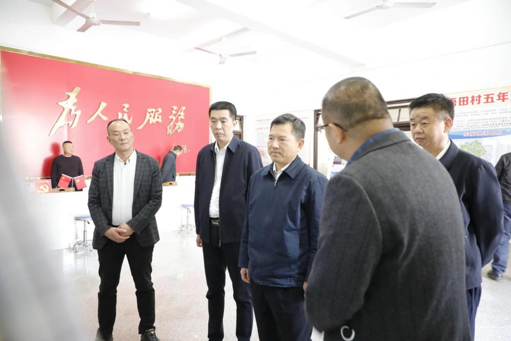 市领导到云霄调研党建引领乡村振兴工作.jpg