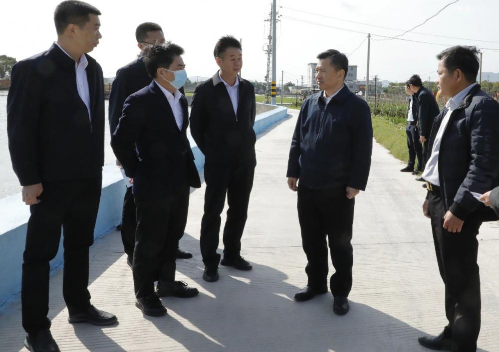 市领导到云霄调研党建引领乡村振兴工作1.jpg