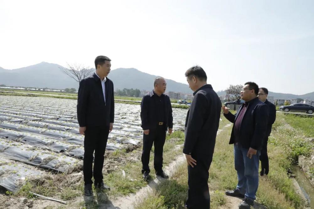 云霄縣領(lǐng)導(dǎo)調(diào)研農(nóng)田保護(hù)提升工作.jpg