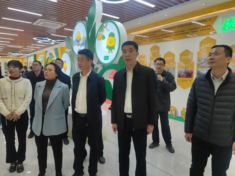 云霄县领导调研推进地标产业培育和发展工作2.jpg