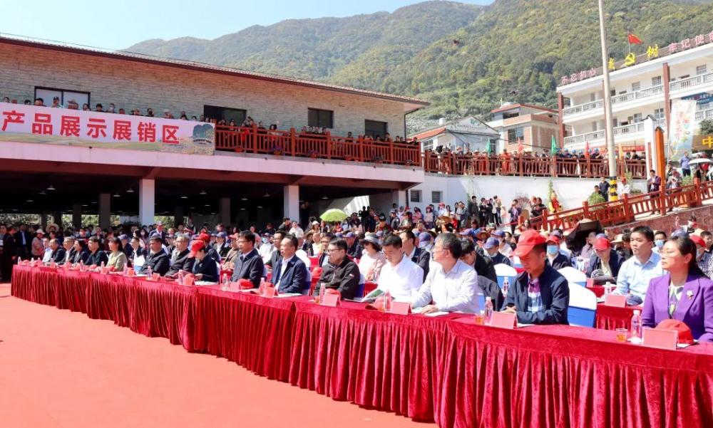 “漫步云霄 乐悠和平”2023年云霄枇杷文化节开幕！2.jpg