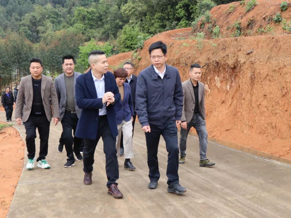 云霄县委书记调研防汛备汛和森林防灭火工作2.jpg