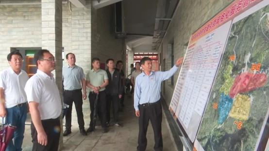 云霄县领导调研“党建领航示范点”建设工作和“四季强网”行动开展情况2.jpg