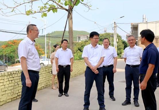 云霄县委书记到陈岱镇调研1.jpg