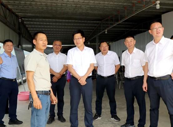 云霄县委书记到陈岱镇调研2.jpg