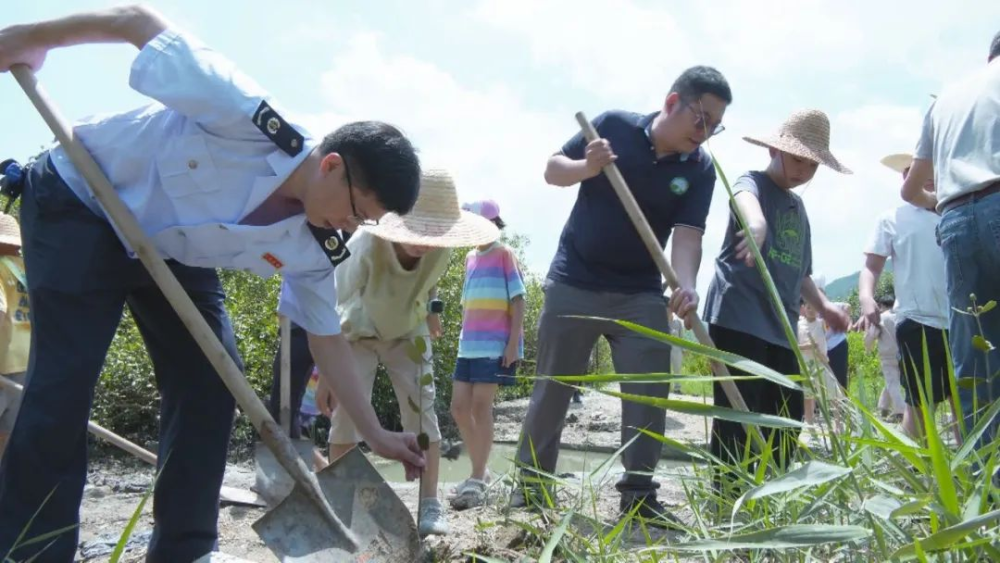 首个全国生态日丨保护红树林 共建美丽云霄2.png