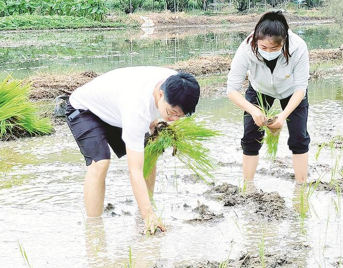 乡村振兴  漳州云霄：认领“一亩田” 唤醒撂荒地.png