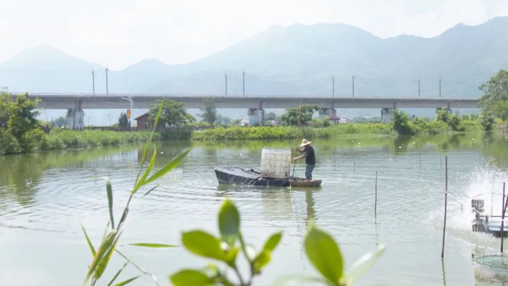 地标富农丨云霄：秋风起，来一场鲜美的“蟹”逅2.png