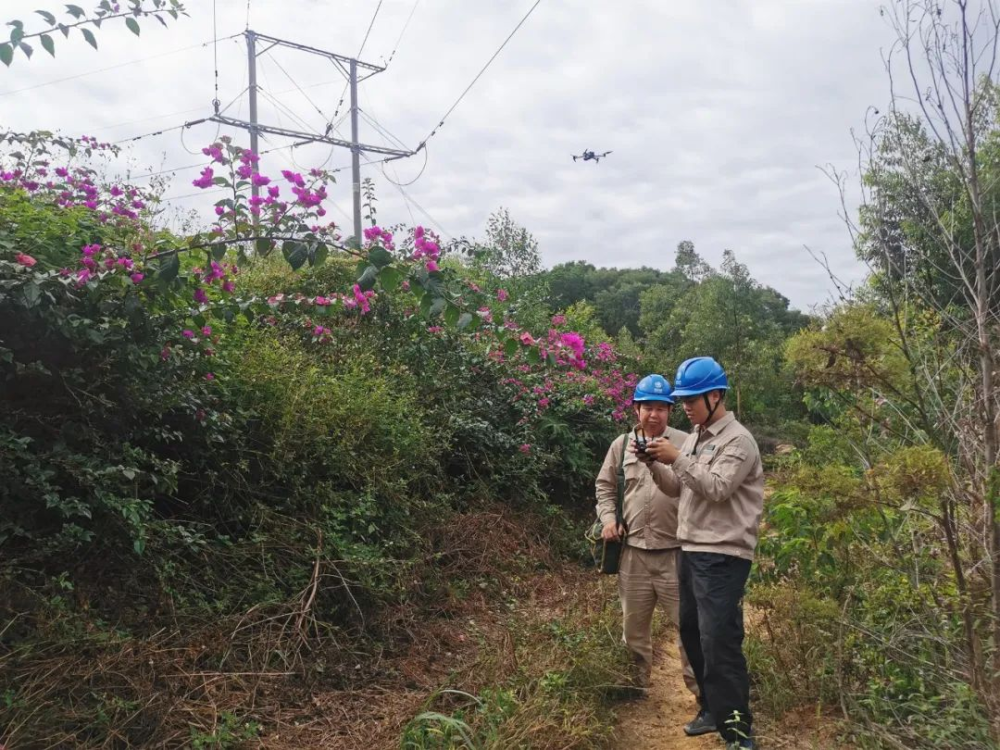 重实践 建新功｜云霄供电：以学促干　秋检不“简”保安全1.png