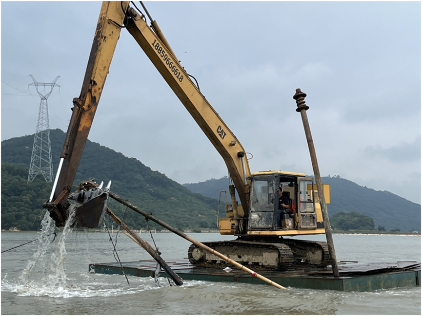 重实践 建新功丨云霄：实干争效 守护红树林“国宝”1.png