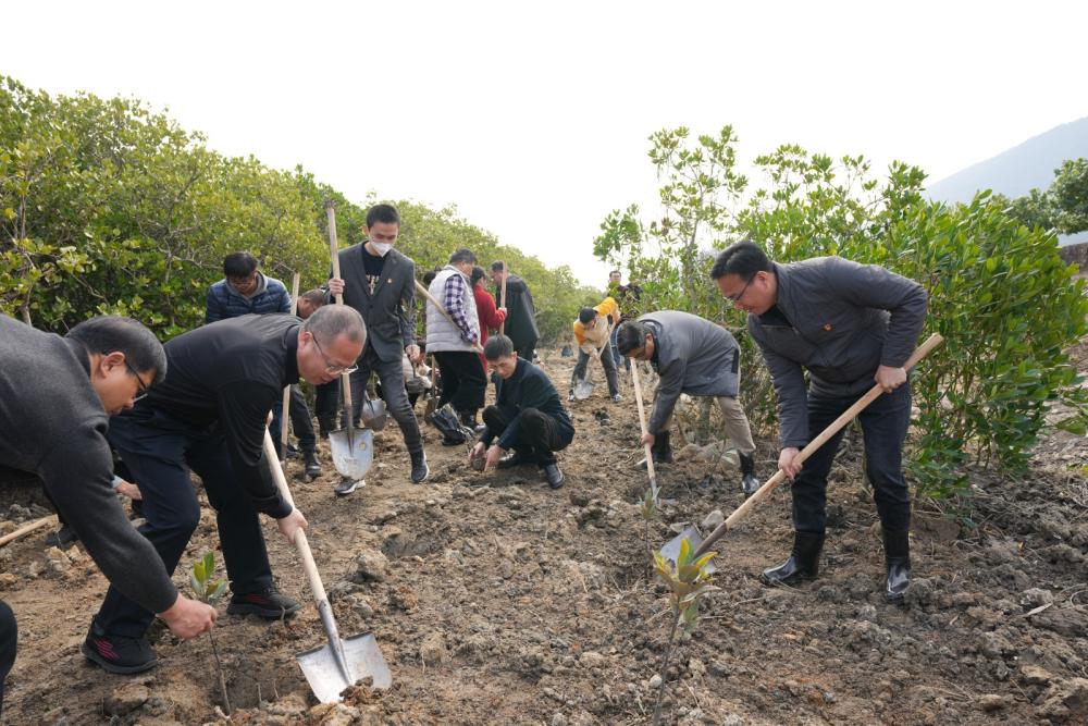 竹塔学校教师种植红树林02.jpg