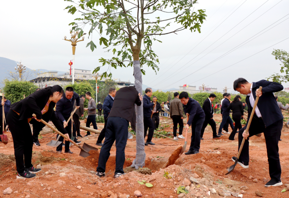 云霄县各套班子领导带队开展2024年“全民义务植树”活动.png