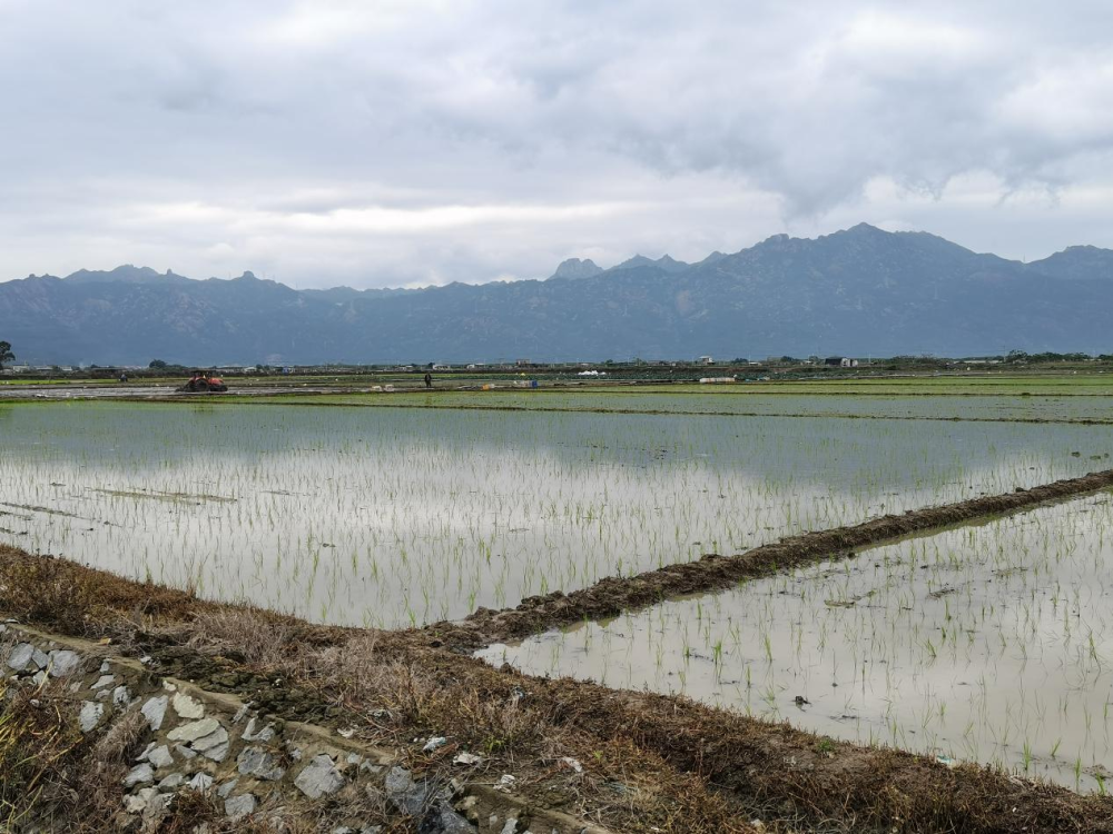 三比一看丨云霄：產(chǎn)業(yè)發(fā)展提質(zhì)增效 項(xiàng)目建設(shè)加速推進(jìn)1.png
