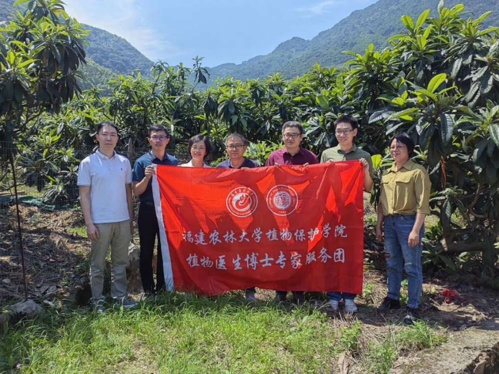省顾问组专家助力云霄水果产业发展.png