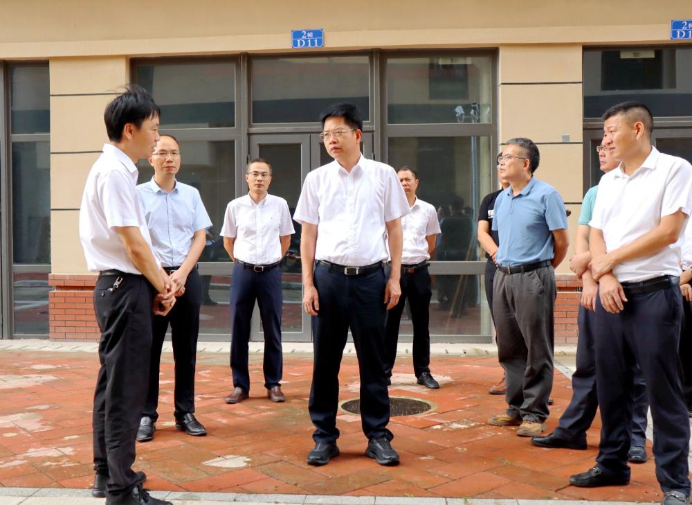 县委书记到云陵镇督导推进党纪学习教育和城区建设工作.jpg