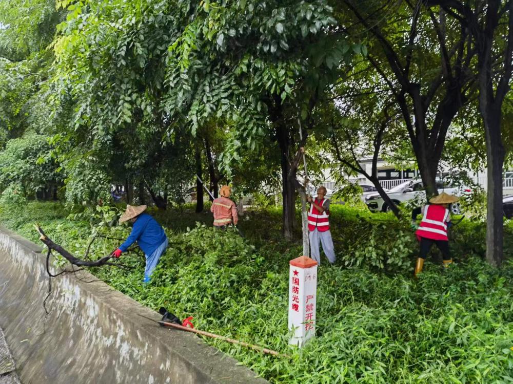 烈日铸路魂 汗水映担当.jpg