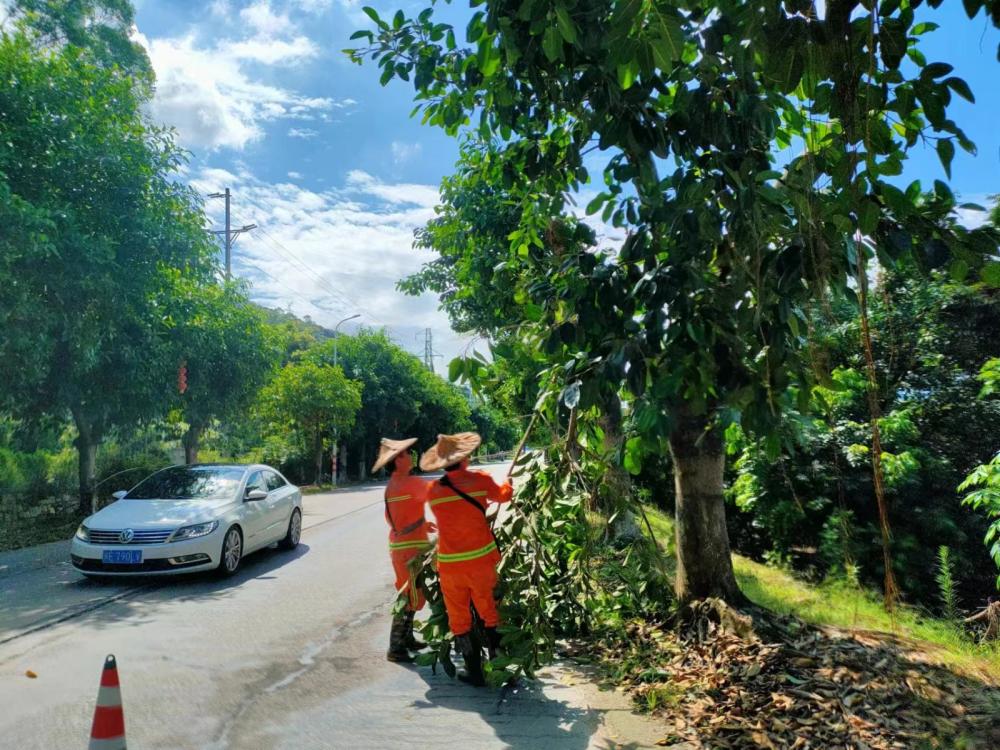 云霄公路分中心：以汗水书写公路担当.jpg