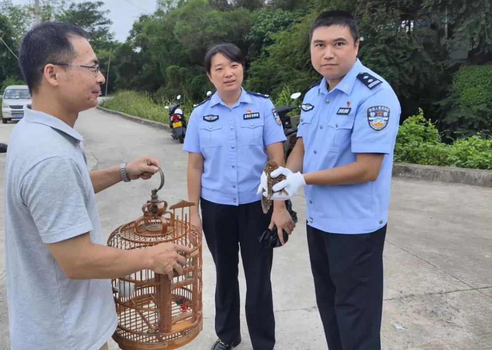 红角鸮在云霄“落单”了，幸亏有他们…….jpg