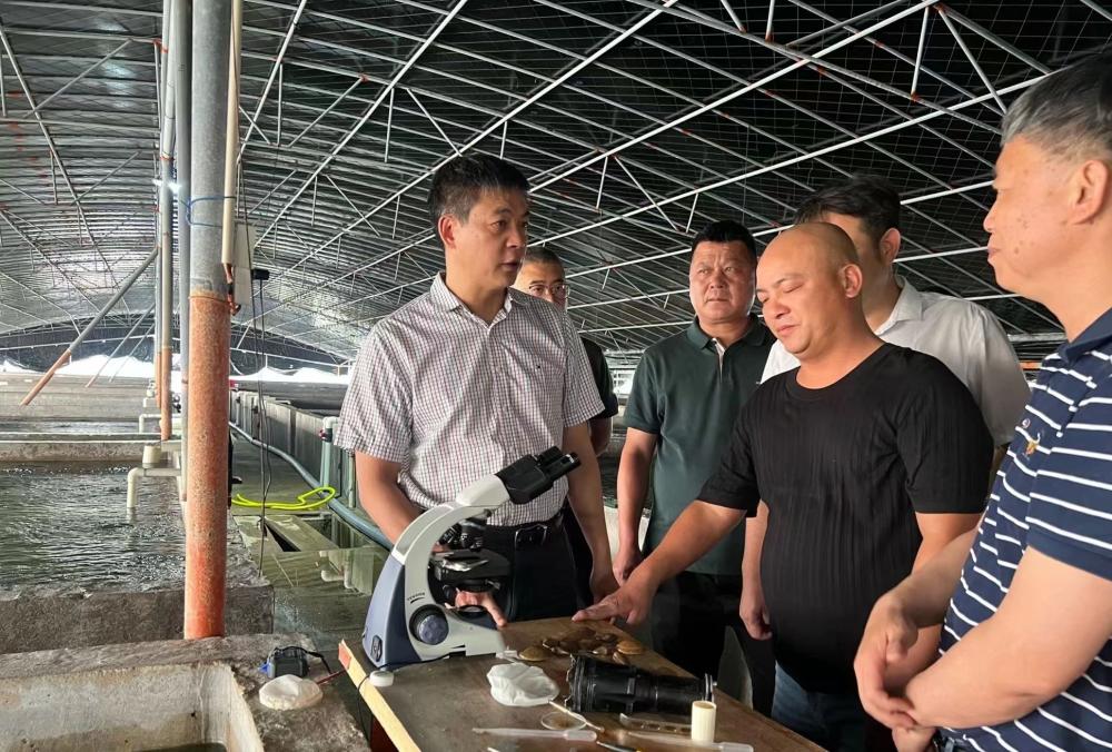 云霄县县长到陈岱镇调研.jpg